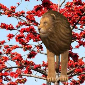 �������������