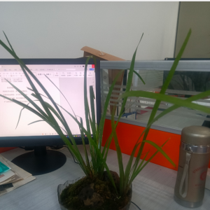 �������������